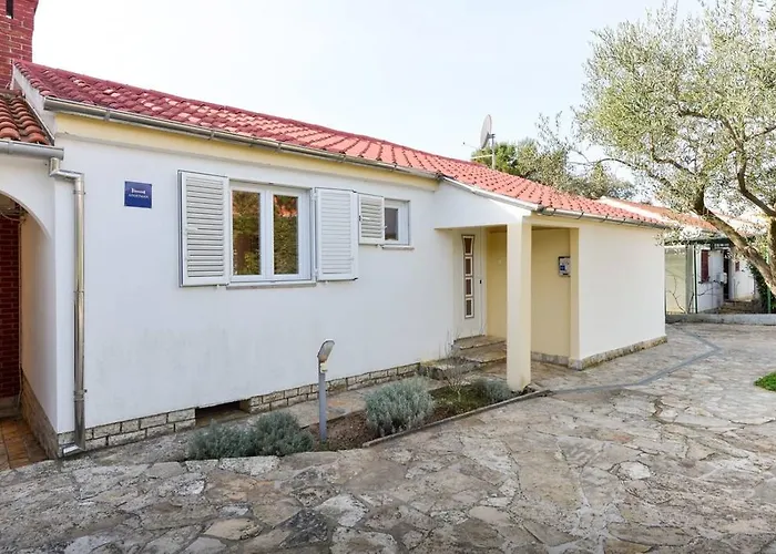 Andi * بيتريتْشاني