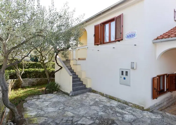 Andi بيتريتْشاني