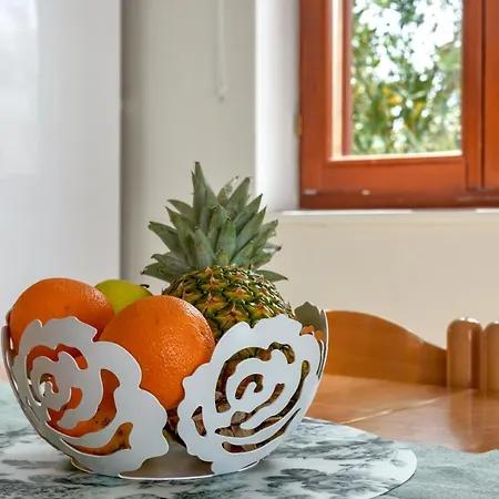 Apartment Andi *