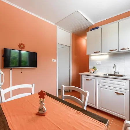 Appartement Andi Petrcane