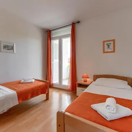 Andi * 돈제페트레케인